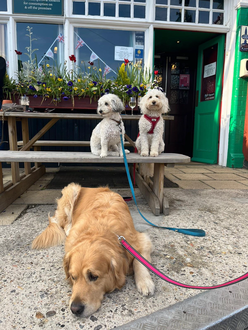 Olive, Reggie and Cooper